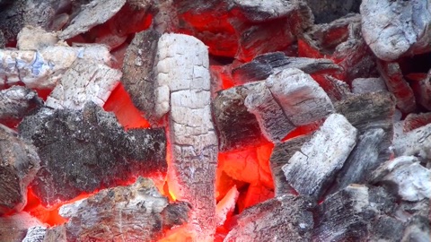 Screenshot #3 for Aquarium & Relax