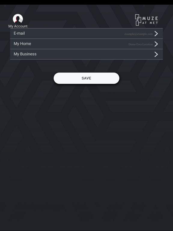 Screenshot #4 pour Met Valet