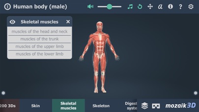 Screenshot #2 pour Human body (male) 3D