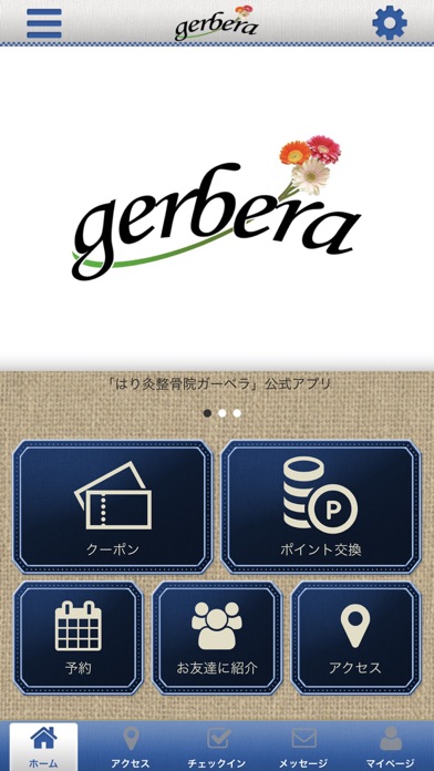 gerbera screenshot 2