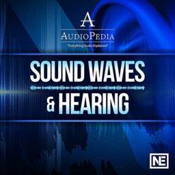 Sound Waves and Hearing 101