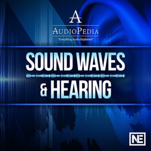 Sound Waves and Hearing 101