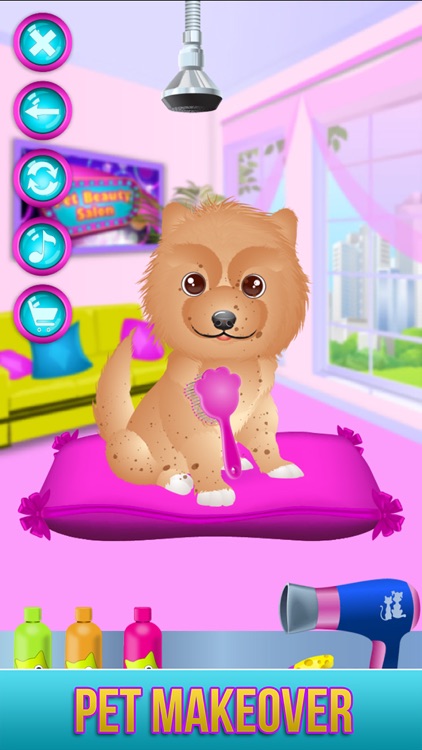 Pet Beauty Salon