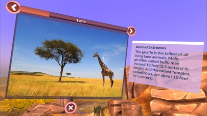 PI VR Animals screenshot 2