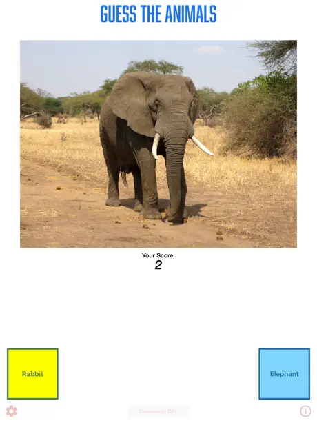 Guess Animals!
