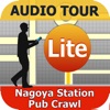 Nagoya Station Pub Crawl (L)