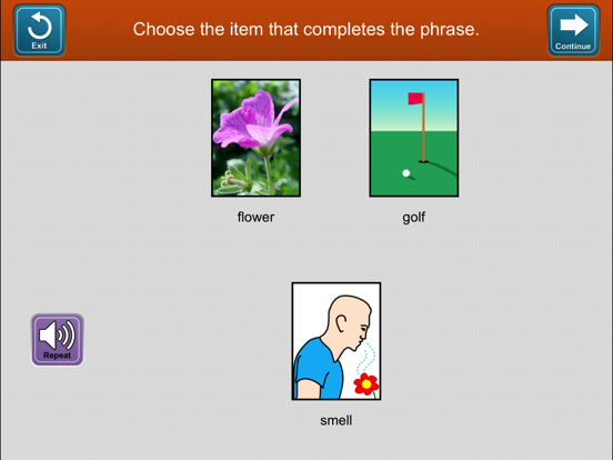 Screenshot #6 pour Lingraphica Device Assessment