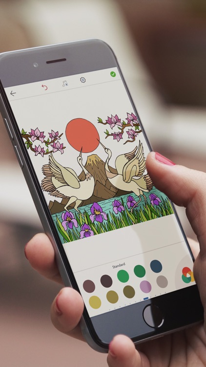 Japanese Coloring Book