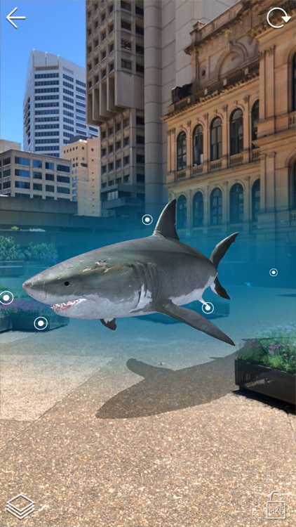 auggd reality screenshot-3