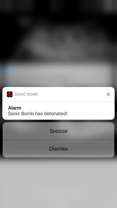 Screenshot #2 pour Sonic Bomb