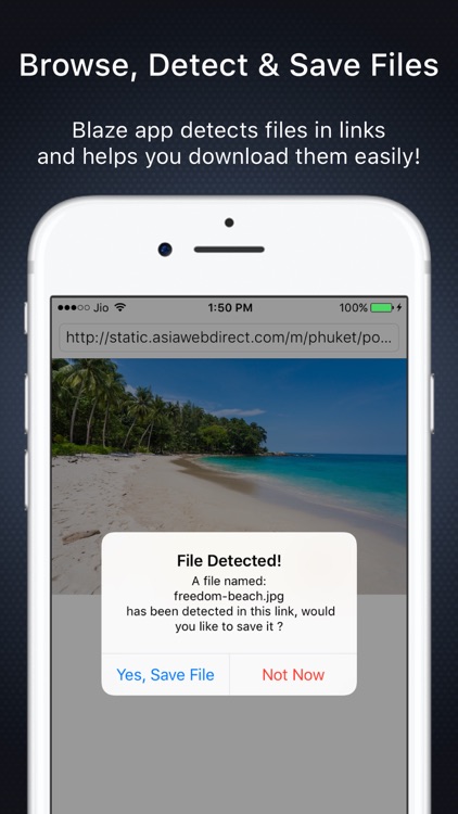 Blaze: Browser & File Manager