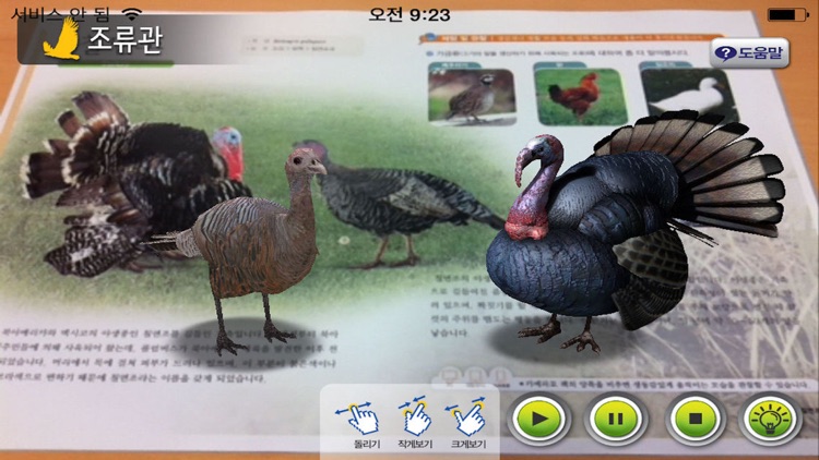 AR 조류관 - 알짬교육 자연사 박물관 시리즈
