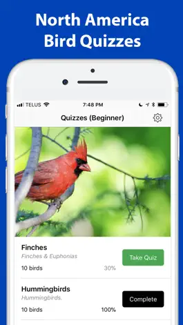 Game screenshot Name the bird! mod apk