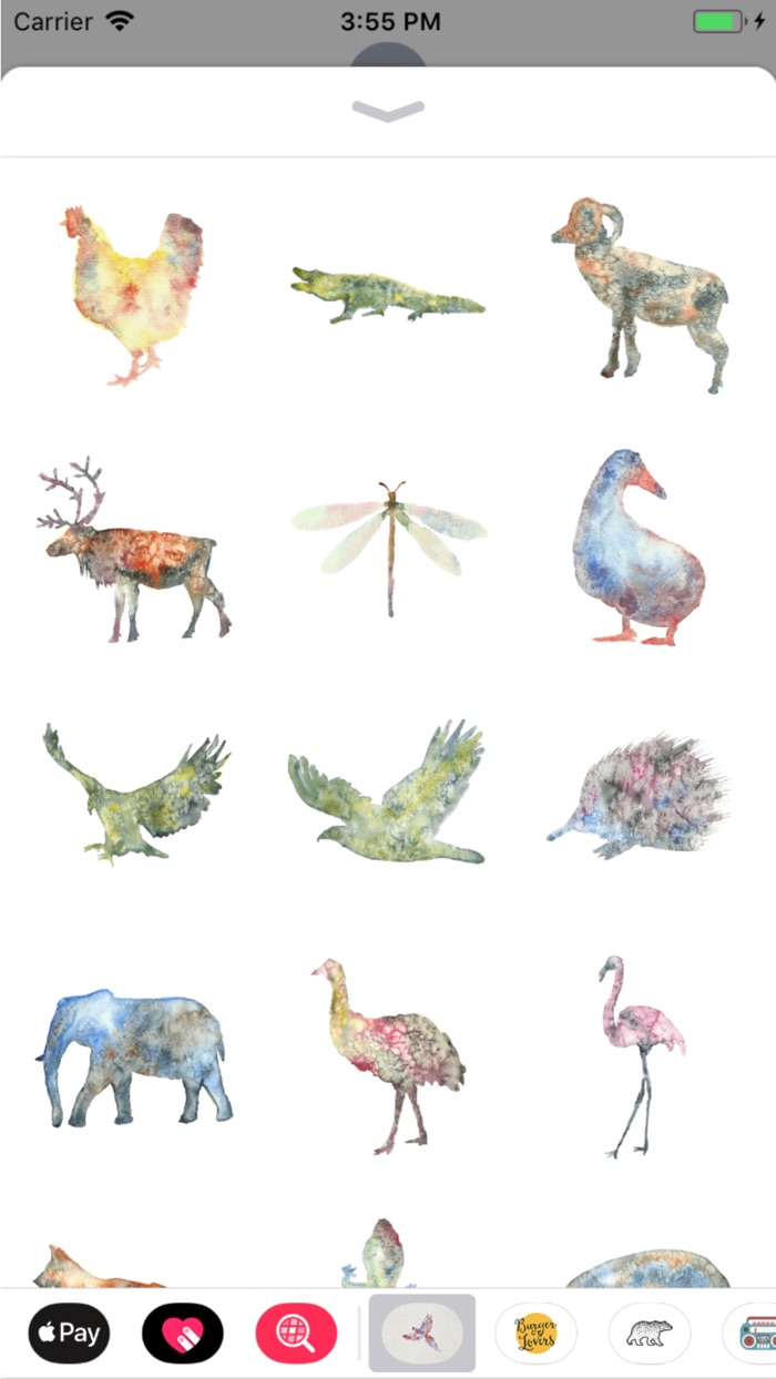 Watercolor Animals and Florals
