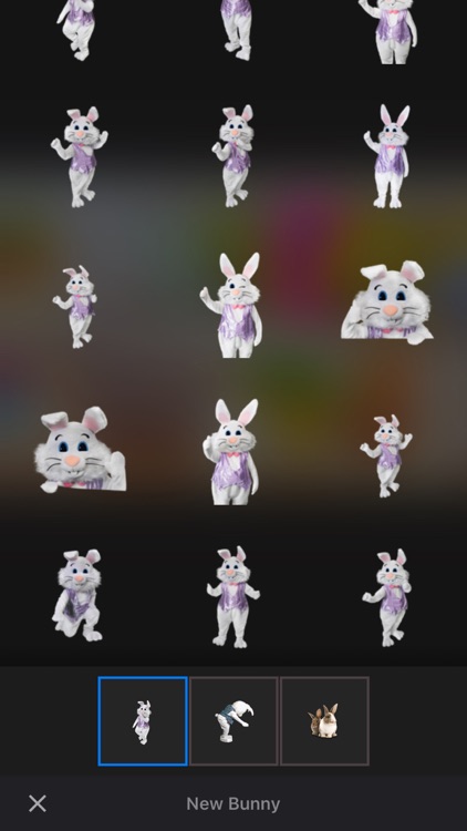 Catch the Easter Bunny