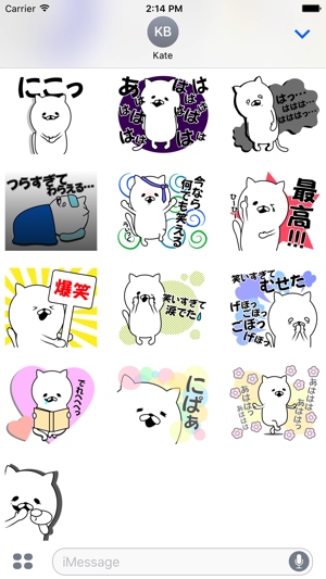 Cat to laugh at earnestly(圖3)-速報App