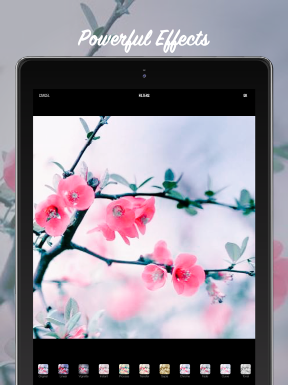 Screenshot #6 pour Camera Lab: Picture Art Editor