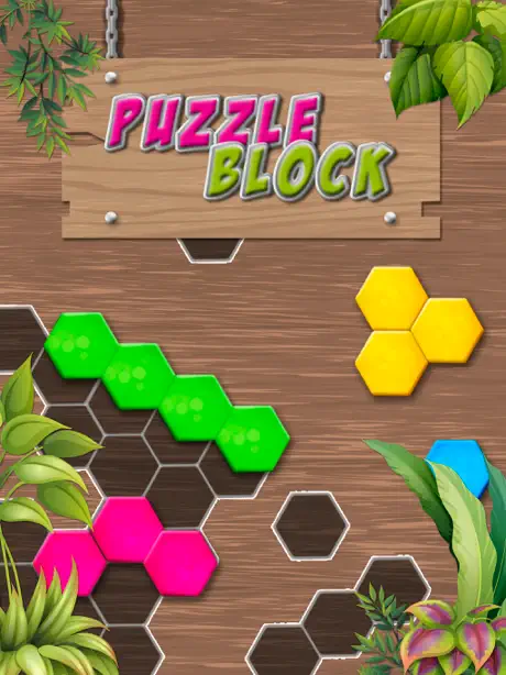 Puzzle Solving - Block Game