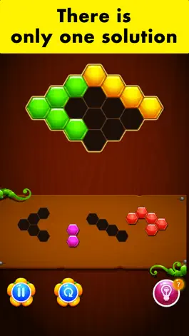 Game screenshot HoneyComb Puzzle - game hack