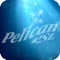 The Pelican RSL Club App has all the latest information on daily activities, featured events, live entertainment, dining menus, 