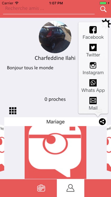 Bulpics screenshot-4