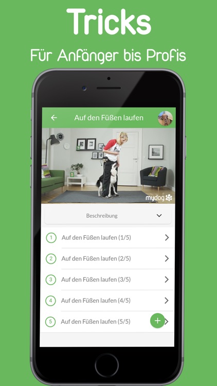 mydog365 – Hunde Tricks & Fun