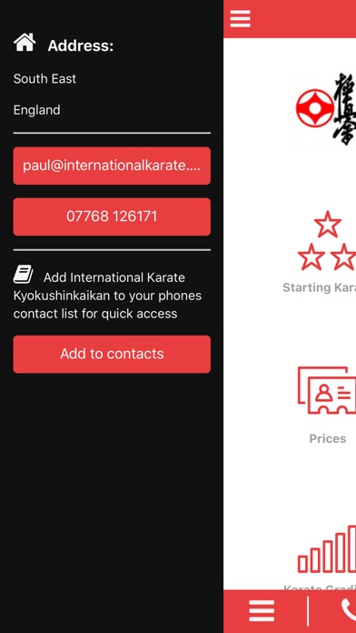 International Karate screenshot 2