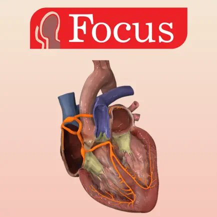 HEART -  Digital Anatomy Cheats