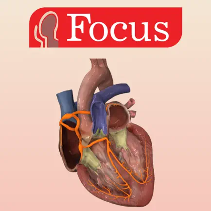 HEART -  Digital Anatomy Читы