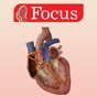 HEART - Digital Anatomy app download