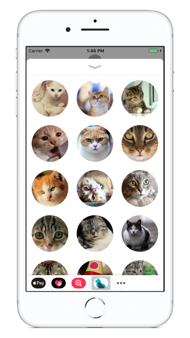 How to cancel & delete Cat Calendar 2018 from iphone & ipad 4