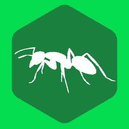 蚂蚁跑步-让朋友监督你运动