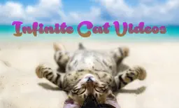 Infinite Cat Videos — Funny Internet Clips app icon