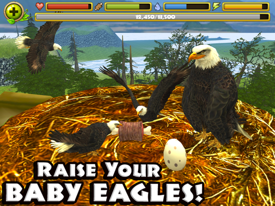 Eagle Simulator для iPad