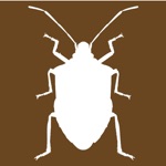 Download Midwest Stink Bug app