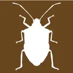 Midwest Stink Bug App Problems