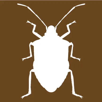 Midwest Stink Bug Читы
