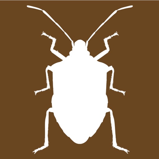 Midwest Stink Bug icon