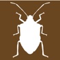 Midwest Stink Bug app download