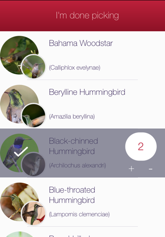 Audubon Hummingbirds at Home screenshot 4