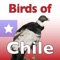 In "The Birds of Chile" all species of birds regularly found in Chile are described, and their approximate size given in inches and tenths of inches