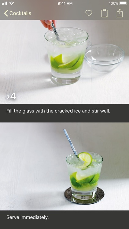 The Photo Cookbook – Cocktails screenshot-4