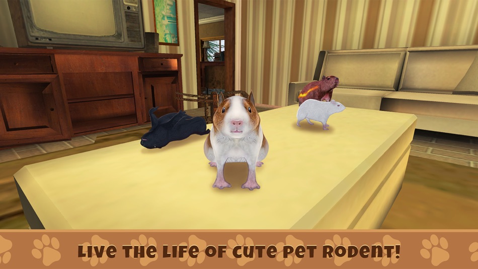 #1. Guinea Pig Simulator Game (iOS) 来自: Juliia Blokhina