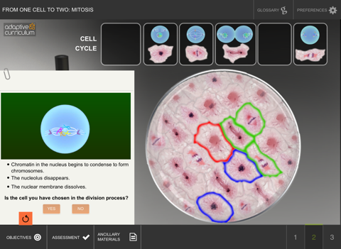 From One Cell to Two: Mitosis screenshot 3