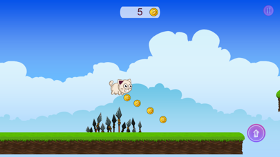 Angry Cat - Go Home app screenshot