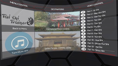 Tai Chi Trainer XR screenshot 3