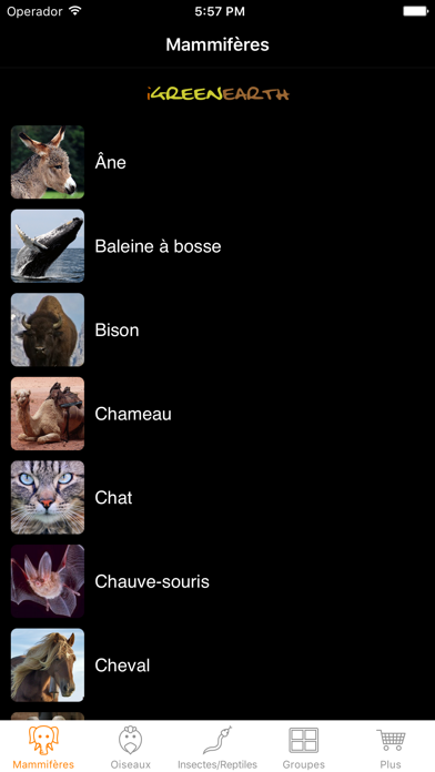 Screenshot #2 pour Animal Chatter