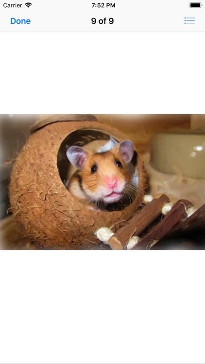 Hamster Sticker Pack screenshot-8