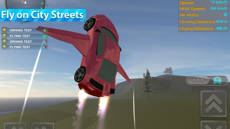 Flying Sports Car Driver