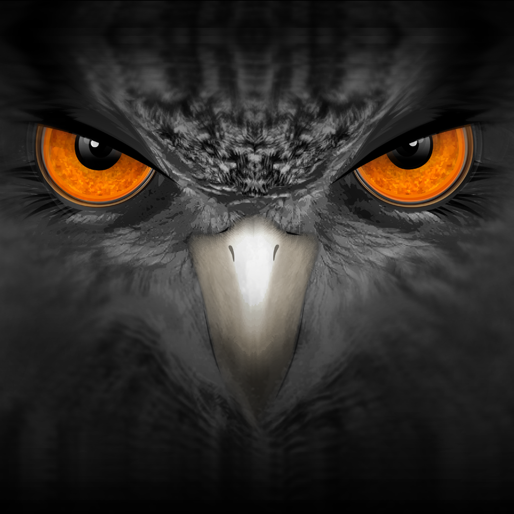 EagleEyes-plus App Icon